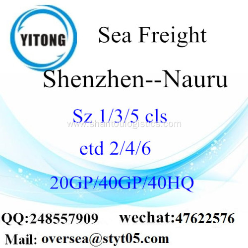 Shenzhen Port Sea Freight Shipping To Nauru